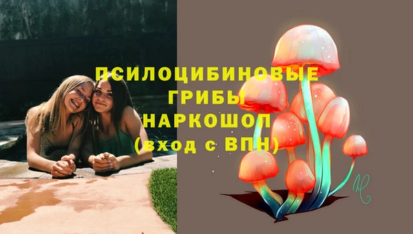 МДПВ Арсеньев