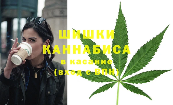 дмт Аркадак