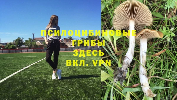 молекула духа Армянск