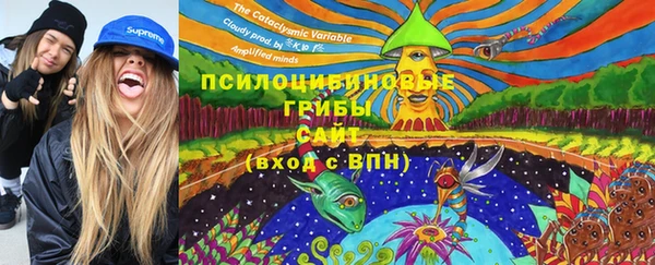 МДПВ Арсеньев